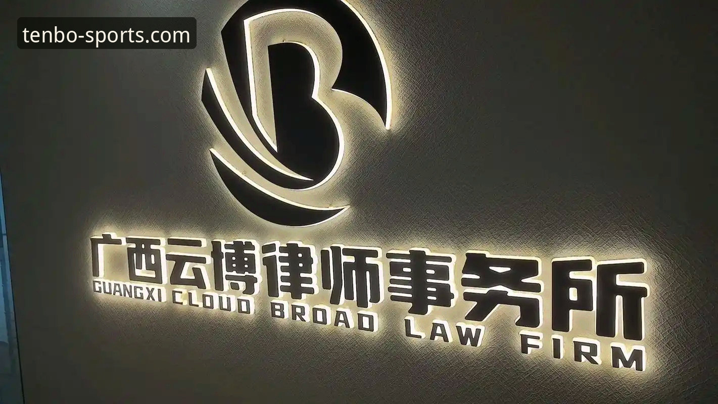 十博体育最新入口下载受阻？深度解析问题根源与创新解决方案